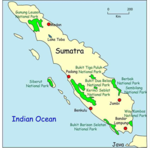 National Park in Sumatra